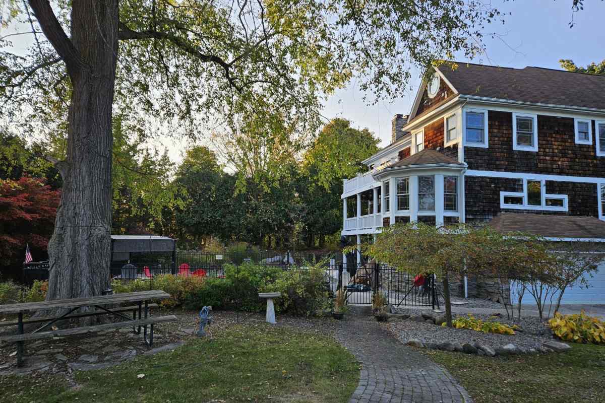 A freshly power washed and stained wooden backyard deck
